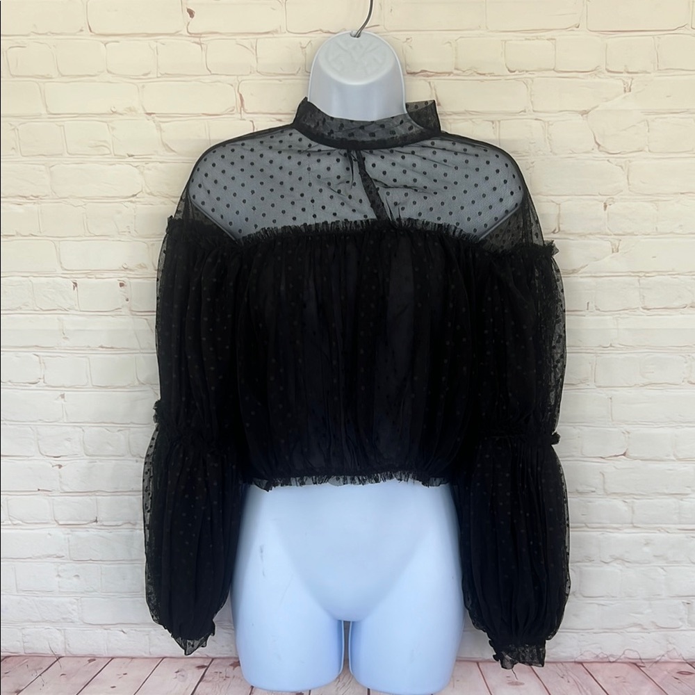 FASHION NOVA mesh black Swiss  dot long sleeve top size small